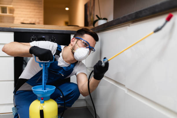 Best Rat Extermination Near Me  in Saranac Lake, NY