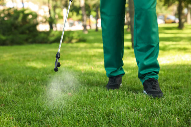 Best Wildlife Control Services  in Saranac Lake, NY