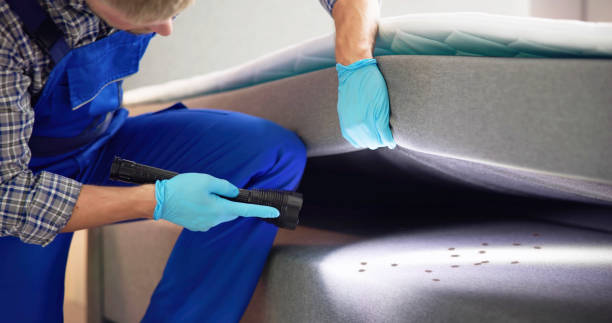 Best Affordable Pest Control Services  in Saranac Lake, NY