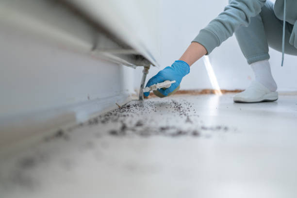 Saranac Lake, NY Pest Control Company