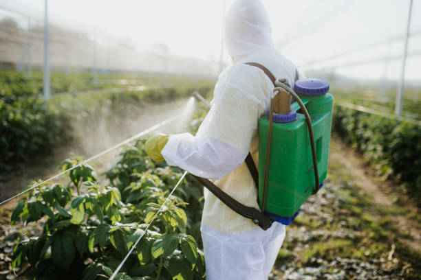 Best Exterminator Services  in Saranac Lake, NY